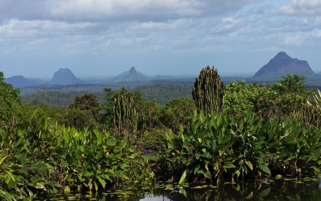 Sunshine Coast Hinterland Road Trip ~ NeedARide.LIMO